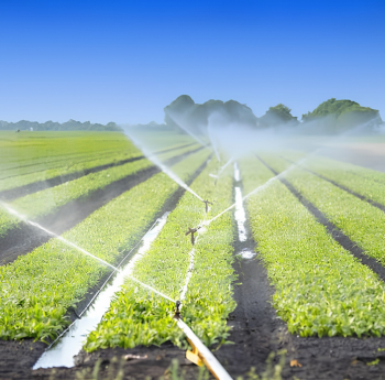 Farm irrigation and water management